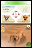 nintendogs^labrador^and^friends_nds_scr04