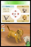 nintendogs^labrador^and^friends_nds_scr05